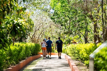 Las áreas naturales protegidas mantuvieron protocolos de conservación y aforo, albergando la visita exclusiva de 23,000 personas. (Cortesía: Noticiero El salvador)