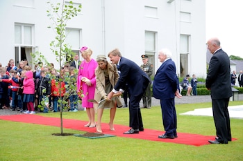 Máxima acompaña a su marido por sus diferentes giras oficiales, y siempre capta todas las miradas, incluso hasta en los actos más sencillos, como cuando plantó un árbol en una visita oficial a Irlanda
