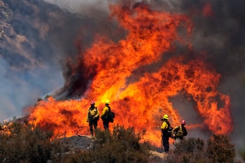 Varios bomberos observan un incendio