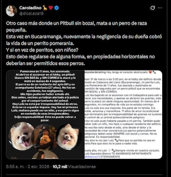 El caso no pasó desapercibido en redes sociales y volvió a abrir el debate sobre la tenencia responsable de mascotas, en este caso de perros de raza potencialmente peligrosa - @dicalaca18/X