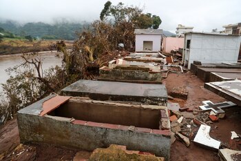 Fotografía tomada este viernes del