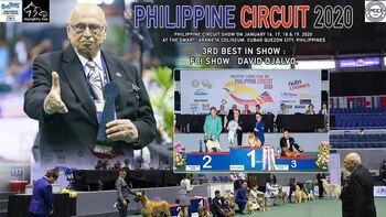 Así fue el asesinato a