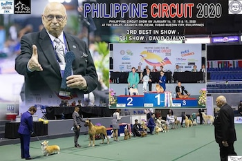 Ojalvo participó de varios eventos