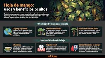 Infografía sobre la hoja de mango con título principal, ilustraciones de hojas, globo terráqueo, árbol, taza de té, diente y medidor de glucosa, sobre fondo oscuro.