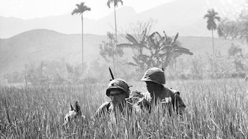 U.S. Marines and their scout