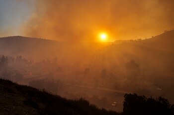 La importancia crítica de prevenir y responder rápidamente a los incendios para proteger nuestra biodiversidad y ecosistemas (EFE/ALLISON DINNER)
