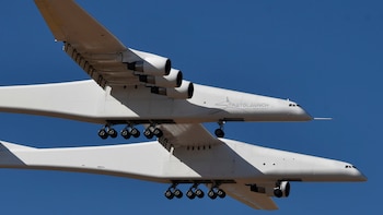 (REUTERS/Gene Blevins)