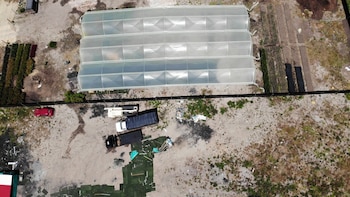 La invasión del predio en junio de 2025 avanzó con ocupación ilegal, instalación de polisombra y uso del terreno para pastoreo y vigilancia - crédito Pluserati S.A.S./Concejal Rubén Darío Torrado