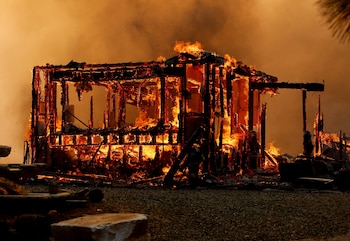 La vegetación ubicada junto a paredes, techos y aleros puede funcionar como punto de ignición cuando caen brasas encendidas (REUTERS/Fred Greaves)