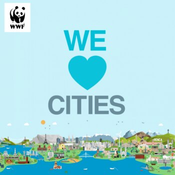 Bogotá, Medellín y Manizales se