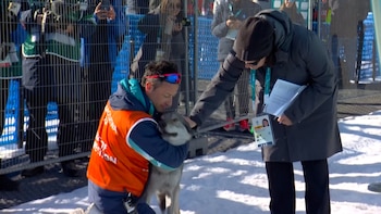 Un voluntario abraza al perro