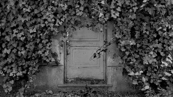 Desde los barrios de Buenos