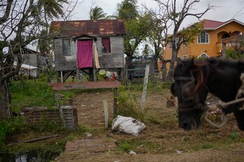 Una vivienda de madera se mantiene sobre soportes en Ann's Grove, una de las comunidades más pobres de Guyana, el sábado 15 de abril de 2023. (AP Foto/Matias Delacroix)