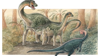 La sorprendente diversidad de titanosaurios