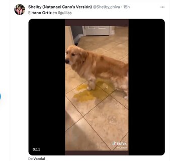 Los mejores memes de la