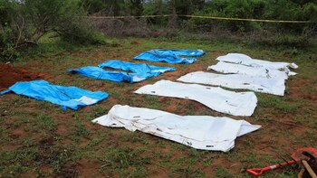 Tras la masacre del bosque