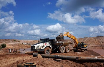 La expansión de las plantaciones de palma aceitera y la minería de estaño provocaron la pérdida del hábitat natural de la especie en la isla de Bangka (REUTERS)