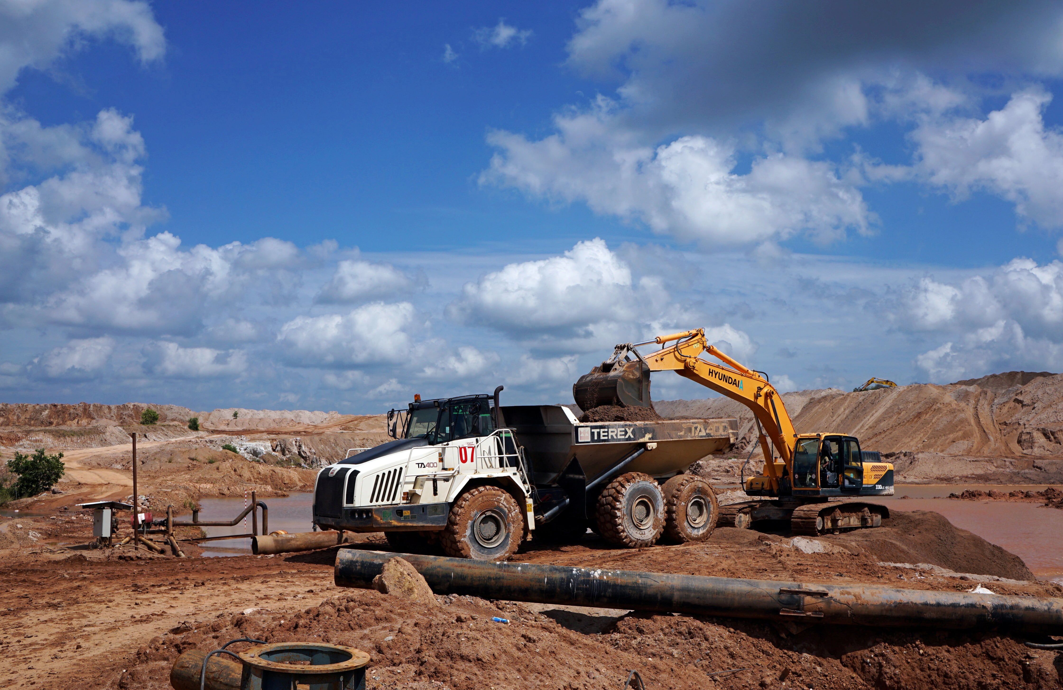 La expansión de las plantaciones de palma aceitera y la minería de estaño provocaron la pérdida del hábitat natural de la especie en la isla de Bangka (REUTERS)