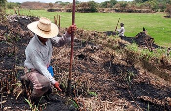 Estas iniciativas son parte de