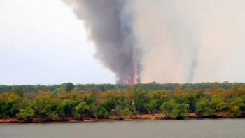 Incendio en el Delta: detectaron 36 focos y hay más de 1.700 hectáreas quemadas