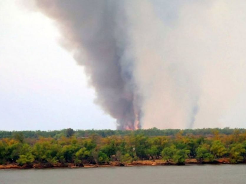 Columnas de humo se elevaron sobre las islas del Delta del Paraná durante los primeros días de septiembre