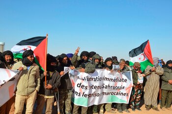 Organizaciones de defensa de los