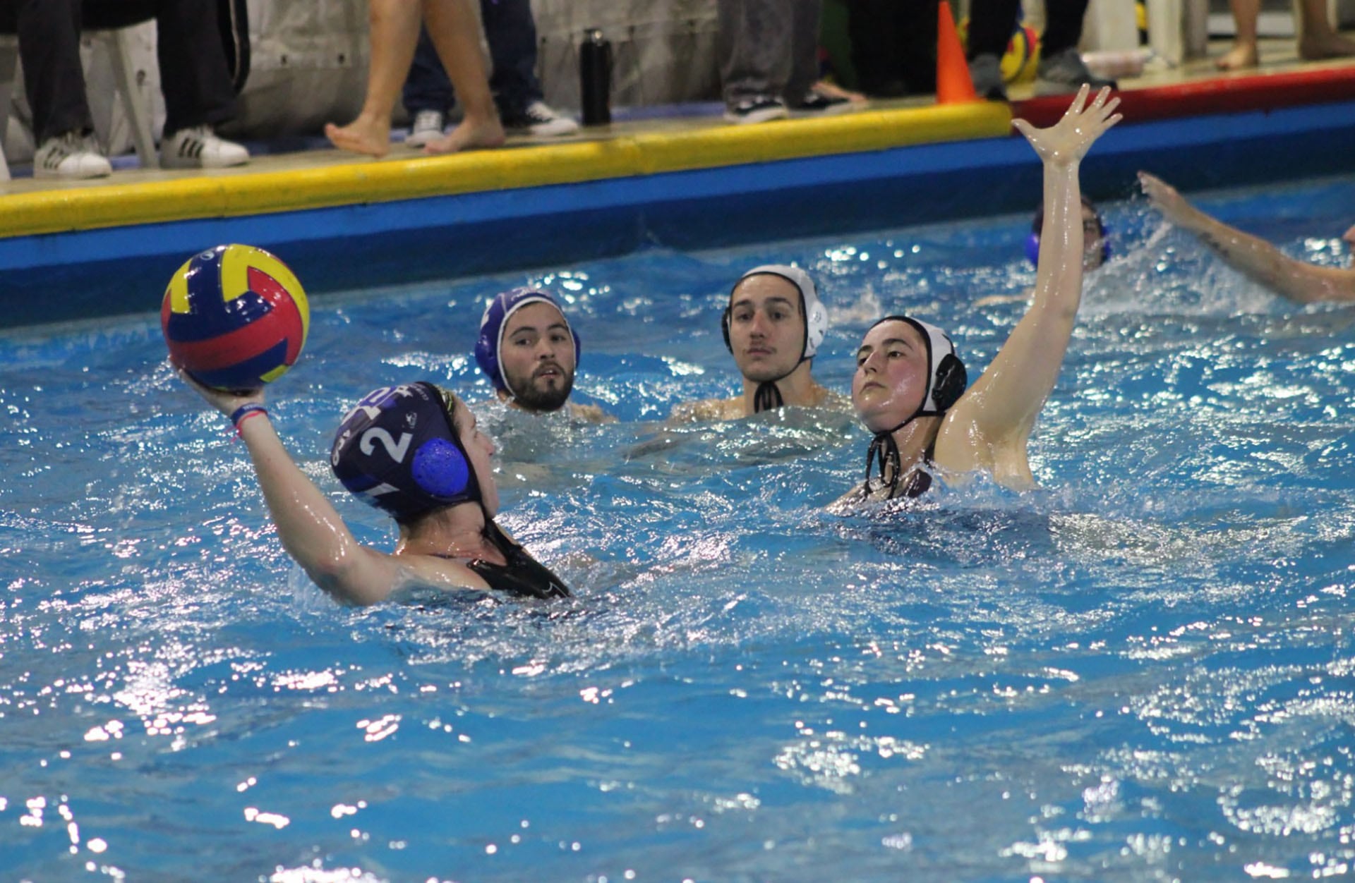 Madres y padres que llegaron al waterpolo por sus hijos formaron un grupo propio y encontraron en la práctica un espacio de vínculo familiar.