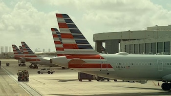 Las colas de varios aviones de American Airlines se alinean en la plataforma del Aeropuerto de Miami. Se observan equipos de tierra y parte de la terminal