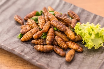 Los antiguos mexicas solían consumir