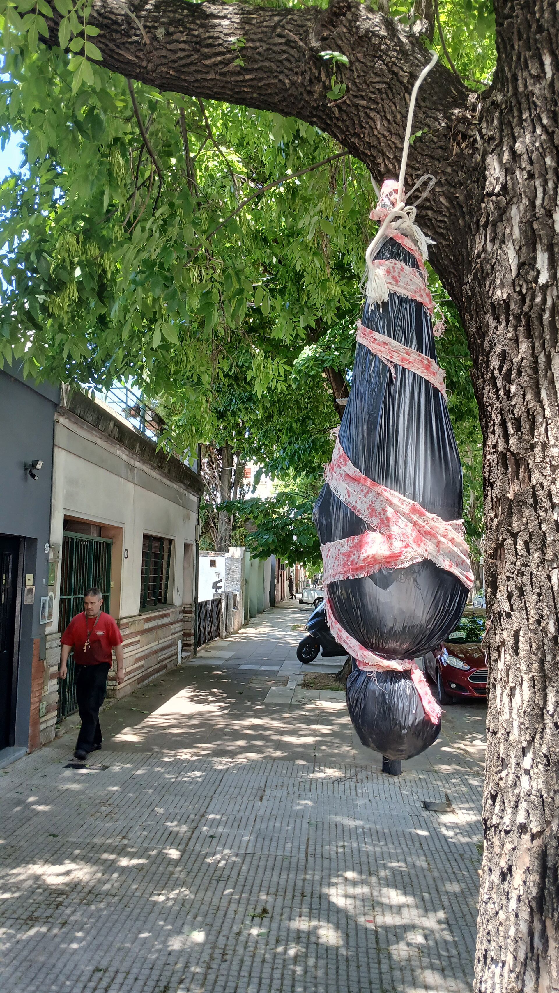 Hasta los árboles se sumaron a la tétrica iniciativa (Foto: Maximiliano Luna)