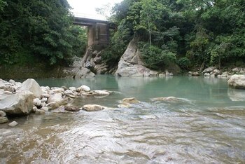 Yopal es la capital del