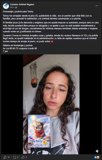 La denuncia provocó el rechazo de los internautas por lo ocurrido en un conjunto residencial ubicado en la localidad de Kennedy - crédito Corazon Animal Vegano/Facebook