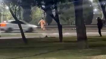 Impactante: un chico de 13 años quiso escapar tras cometer un supuesto robo y lo atropellaron en una autopista de Mendoza