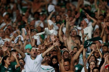 Hinchas del Palmeiras celebran durante
