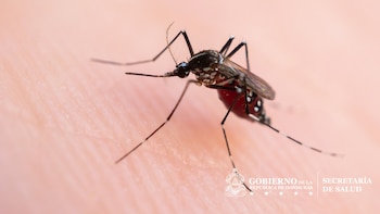 Autoridades sanitarias en Honduras confirman dos nuevas muertes por dengue, suman tres las víctimas en 2026