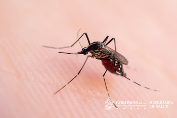 Jornadas de limpieza y fumigación contra el dengue en Honduras