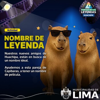 Los usuarios pueden proponer nombres