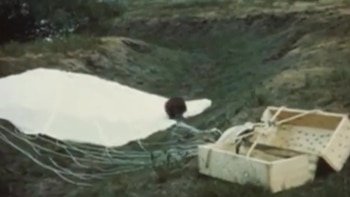 El impacto ecológico de los