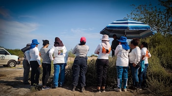 Colectivo Sabuesos Guerreras exige esclarecer ataque contra Alma Rosa, líder de Voces Unidas por la Vida