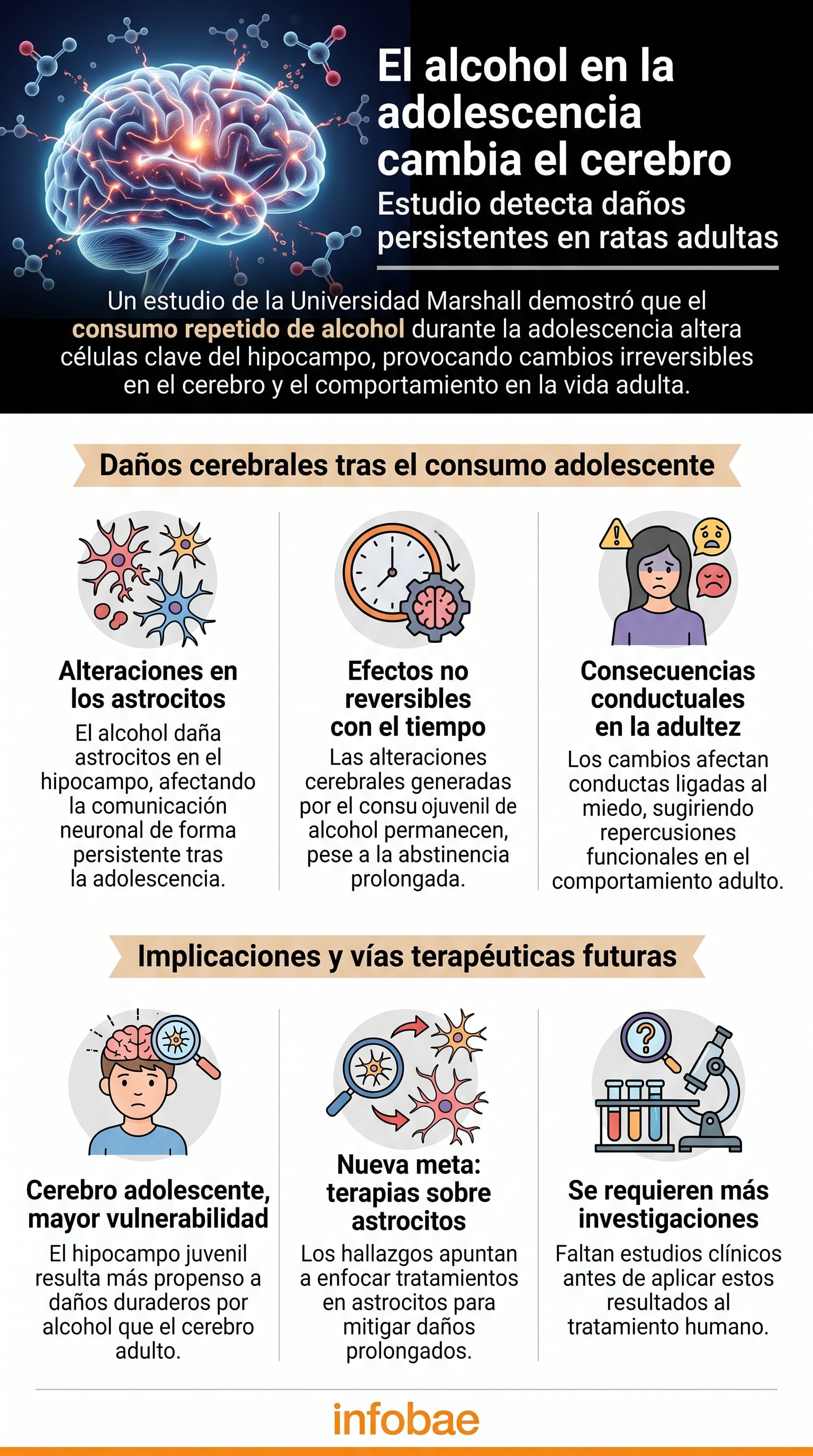 Una infografía sintetiza un estudio de la Universidad Marshall de Estados Unidos sobre los efectos del consumo de alcohol en la adolescencia (Imagen Ilustrativa Infobae)