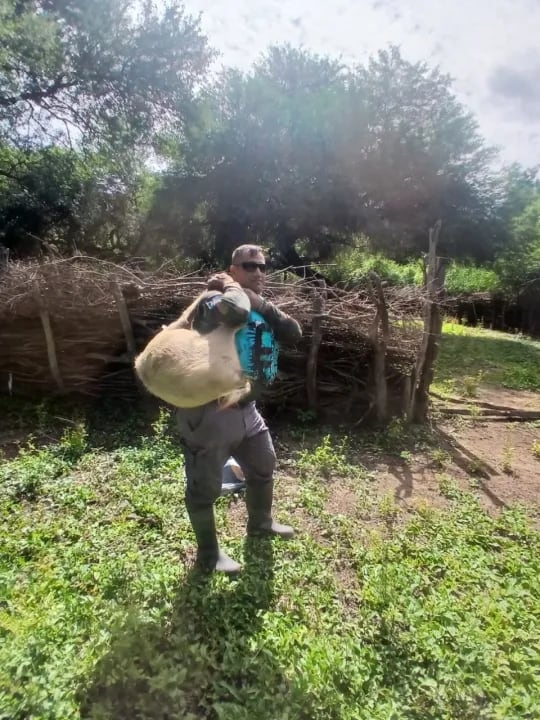 El municipio refuerza el apoyo a las familias desplazadas, mientras se espera que las aguas bajen (Fuente: Norte)