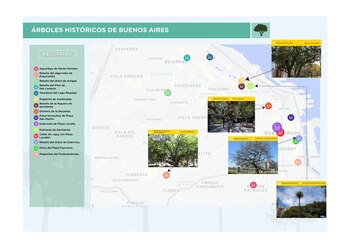 La ubicación de los "Árboles