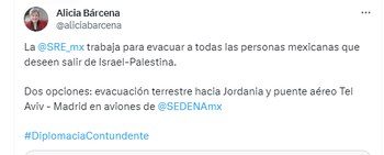 La canciller confirmó que son