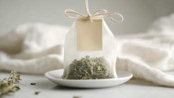 Científicos alertan sobre los peligros