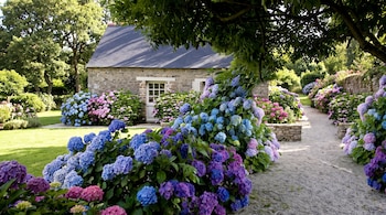 Casa de piedra con tejado oscuro y ventana. Hortensias azules, púrpuras y rosadas. Sendero de grava. Césped y árboles.