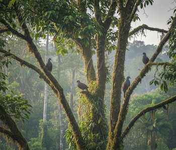 La colaboración entre comunidades locales