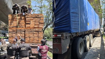 Aseguran tráiler repleto de madera de pino presuntamente de origen ilegal en Tlalpan