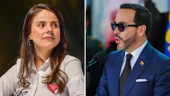 Mientras arden los bosques por incendios, senadora cuestionó la reducción al presupuesto ambiental: “Abelardo decidió recortar más del 26%”