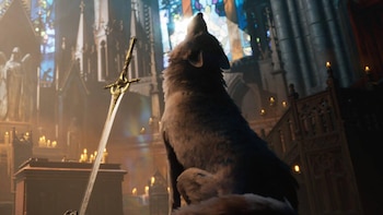 Parry Frames Studio anuncia ‘Stray Dog: Nobody Cares’, un soulslike con un perro