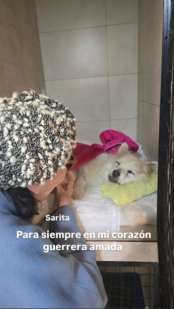 Graciela Borges y Sarita